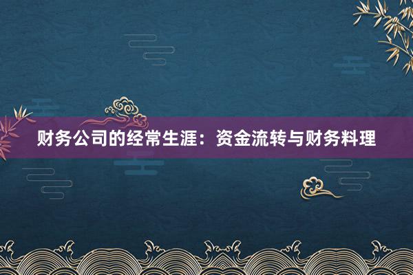 财务公司的经常生涯：资金流转与财务料理