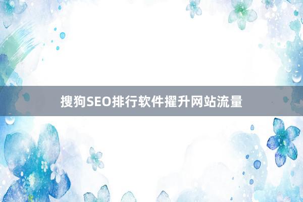 搜狗SEO排行软件擢升网站流量