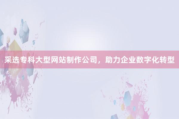 采选专科大型网站制作公司，助力企业数字化转型