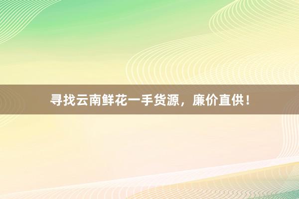 寻找云南鲜花一手货源，廉价直供！