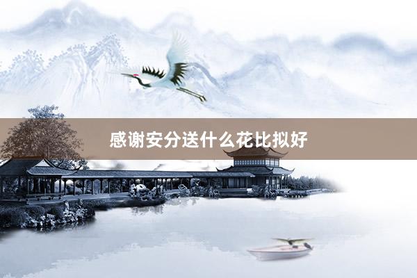 感谢安分送什么花比拟好