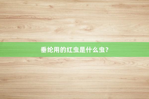 垂纶用的红虫是什么虫？