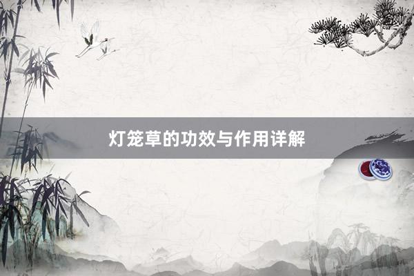 灯笼草的功效与作用详解